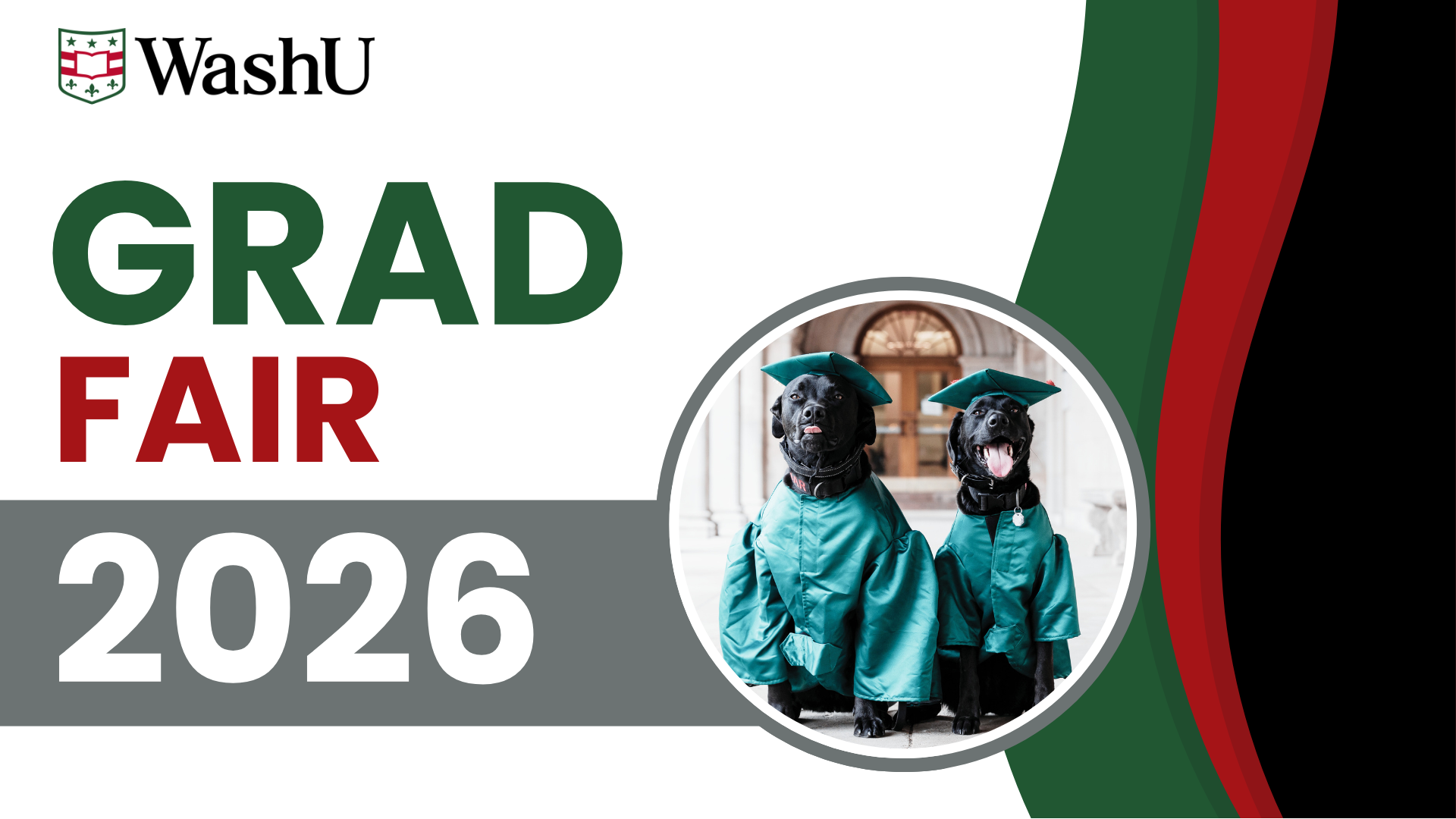 Grad Fair Flyer with dogs dressed in regalia.